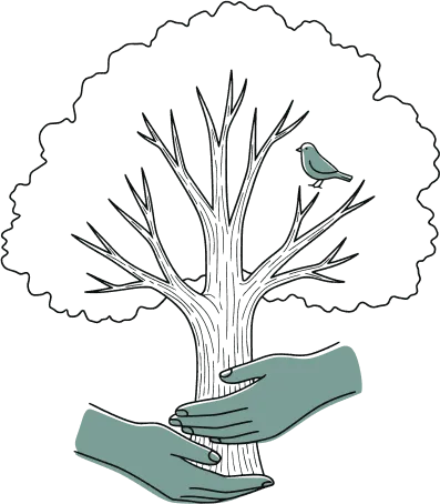 Illustration Sustainable forest management