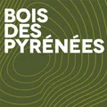 Bois des Pyrénées