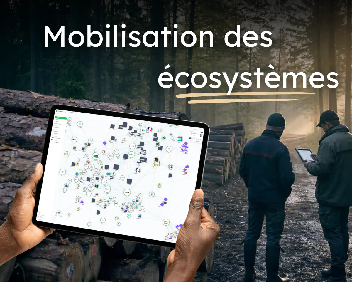 « Mobilisation des écosystèmes » : une tablette affiche une cartographie d’acteurs reliés entre eux, devant deux forestiers en bord de piste, au milieu de grumes empilées.